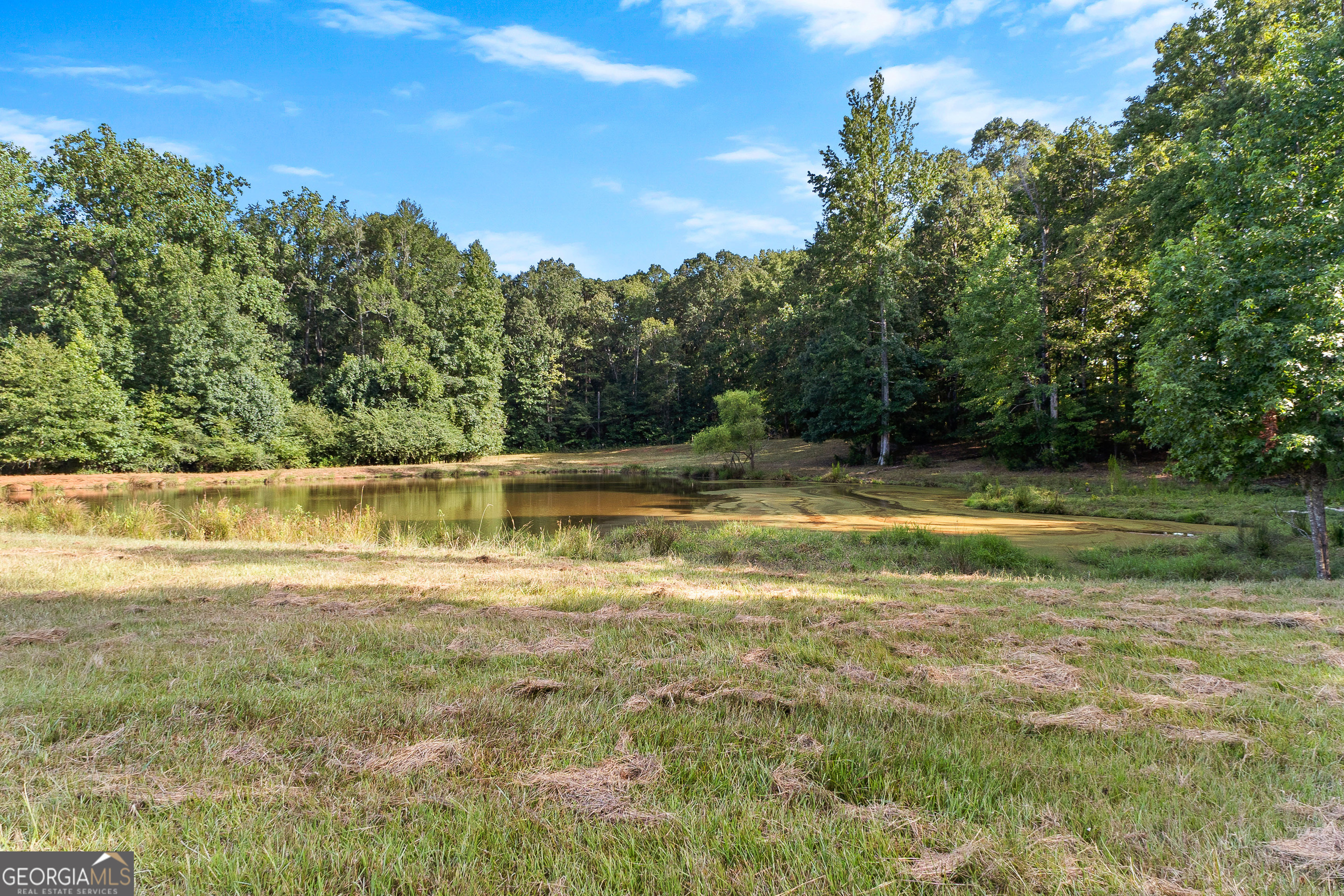 4091 Hollonville Road Williamson, GA 30292 - Photo 51 of 65 a view of a swimming pool with an outdoor space and seating area