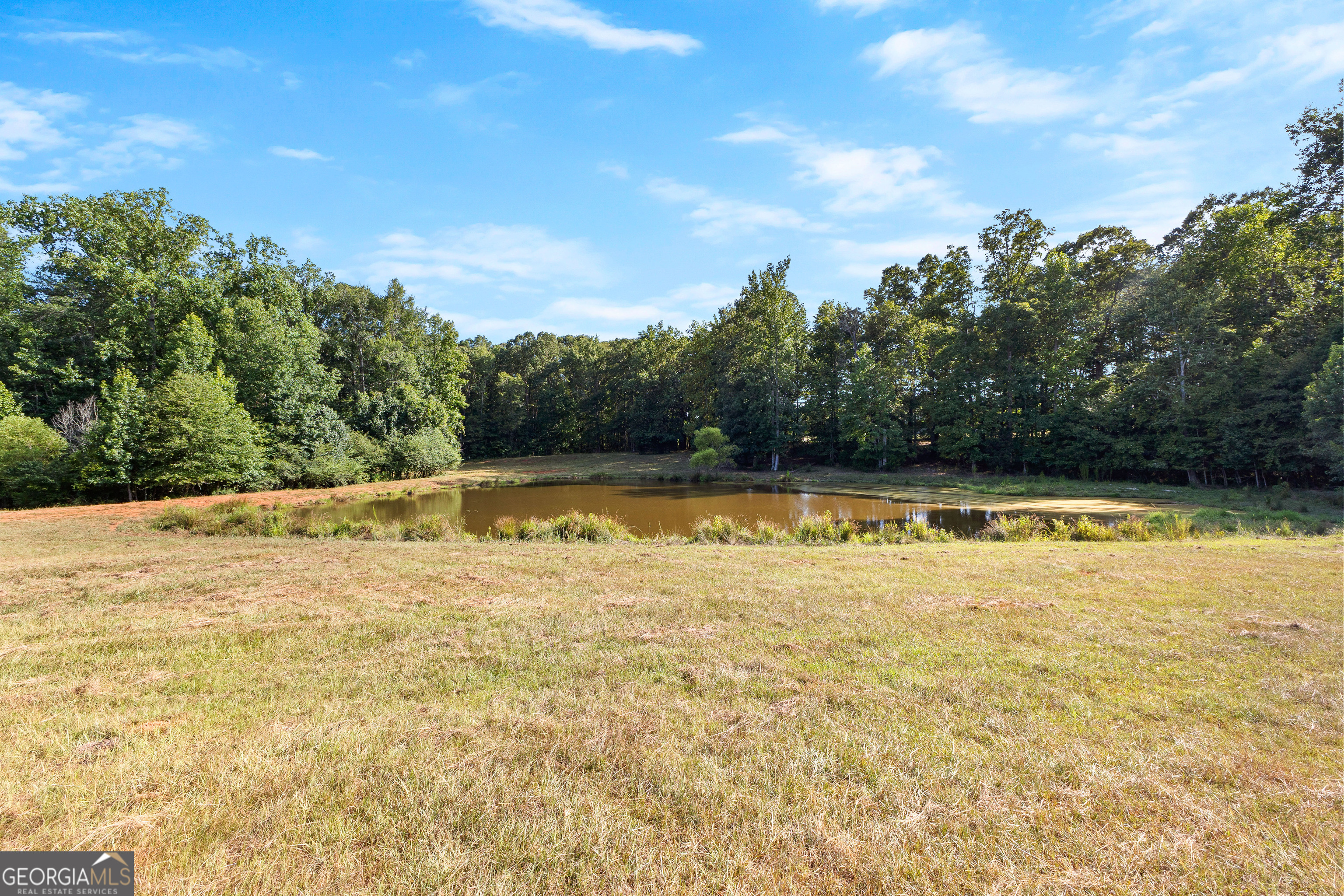 4091 Hollonville Road Williamson, GA 30292 - Photo 52 of 65 a view of a swimming pool and an outdoor space