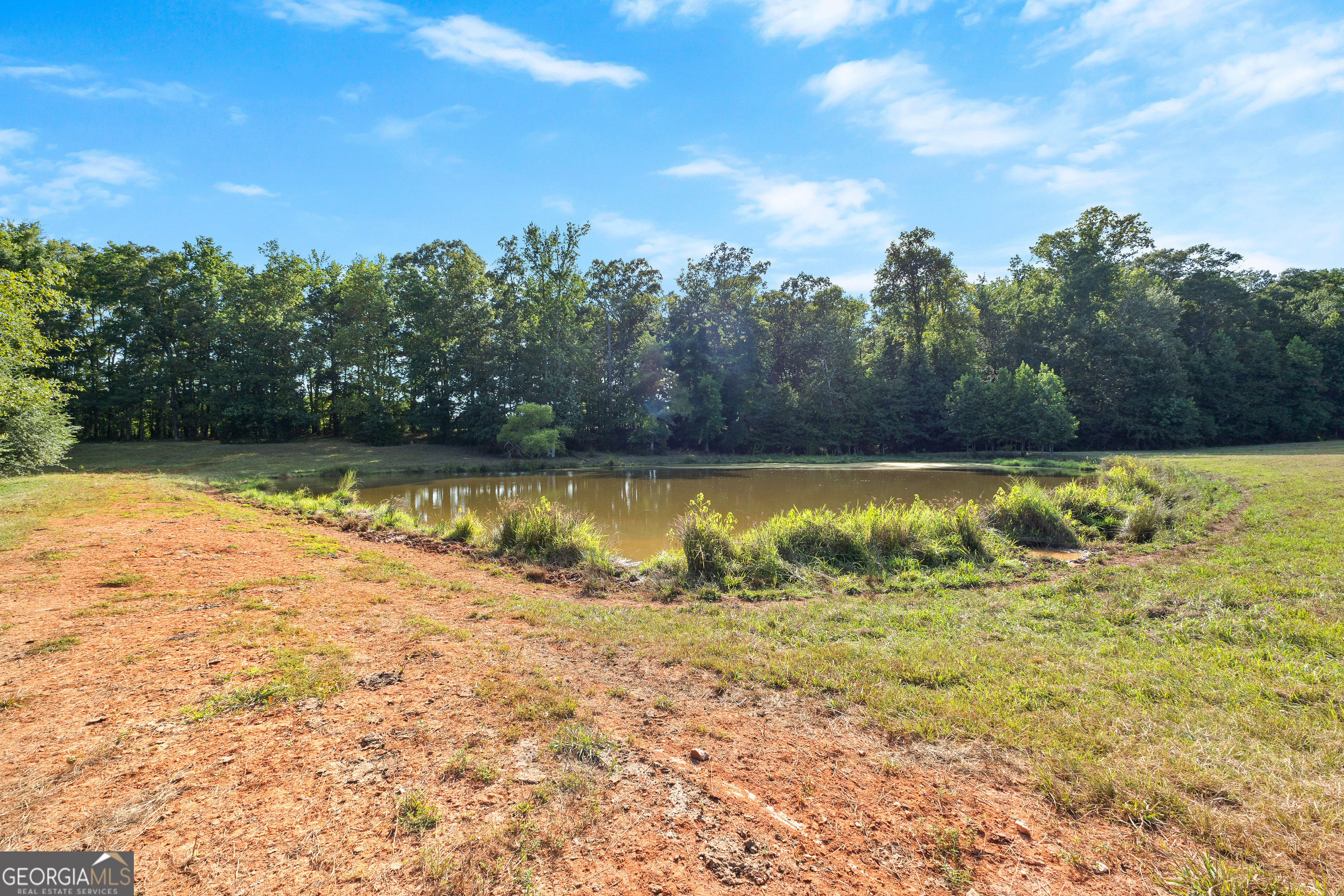 4091 Hollonville Road Williamson, GA 30292 - Photo 53 of 65 a view of a lake with houses in the background