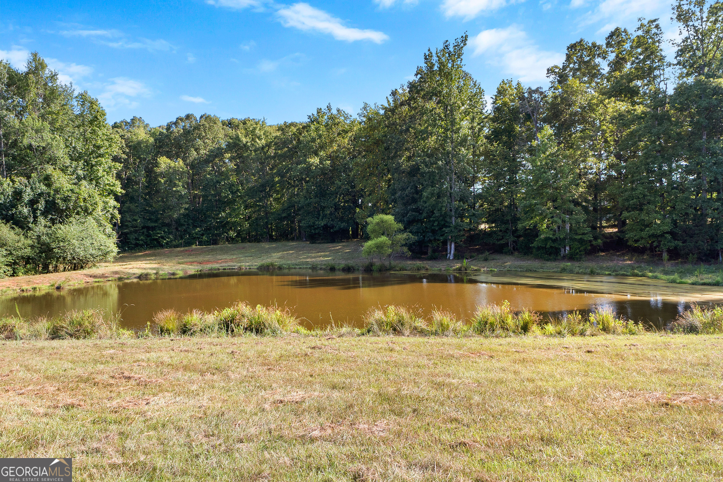 4091 Hollonville Road Williamson, GA 30292 - Photo 55 of 65 a view of a swimming pool with a yard