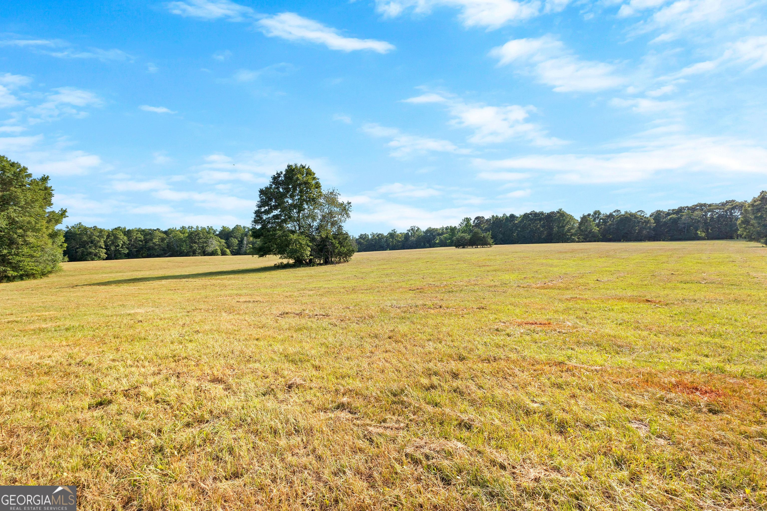 4091 Hollonville Road Williamson, GA 30292 - Photo 58 of 65 a view of an ocean and beach