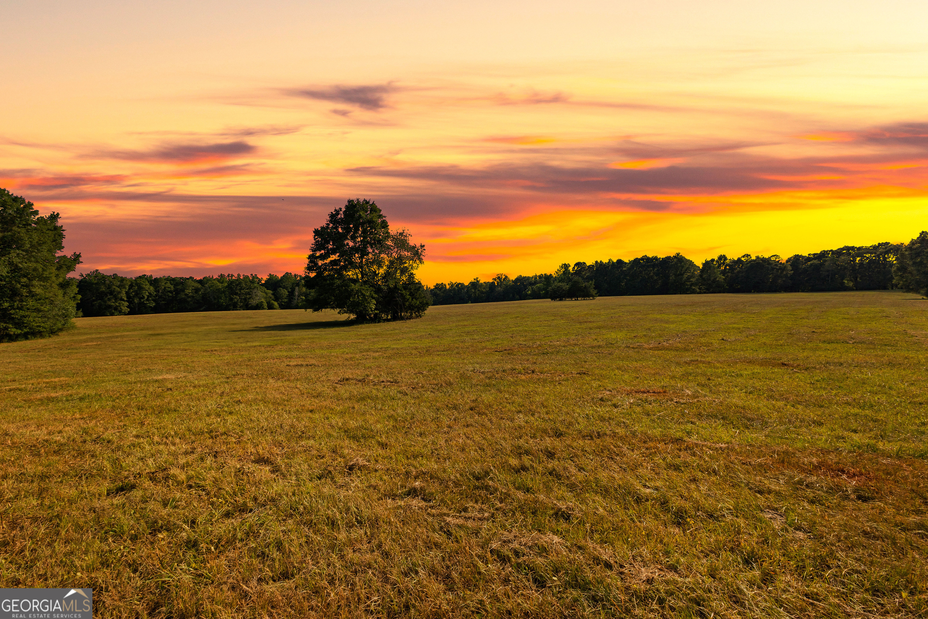 4091 Hollonville Road Williamson, GA 30292 - Photo 62 of 65
