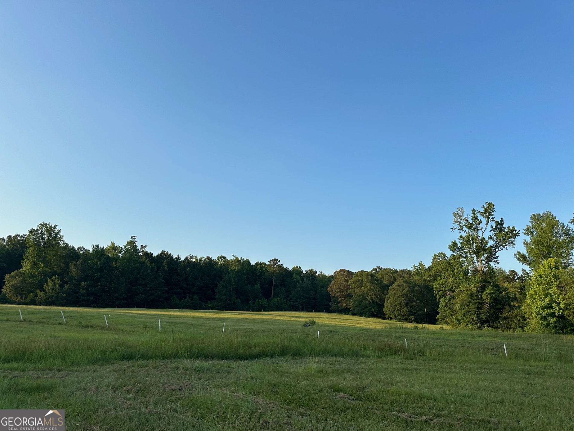 4091 Hollonville Road Williamson, GA 30292 - Photo 7 of 65 a view of grassy field with trees