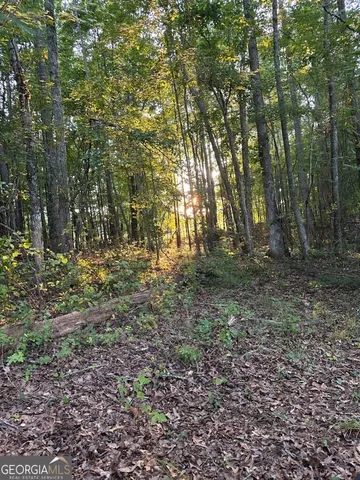 $1,135,980 | 4091 Hollonville Road, Williamson, GA 30292