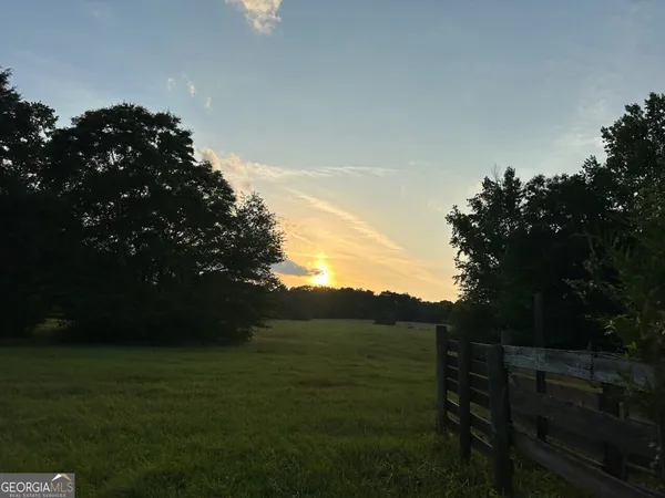 a view of a big yard with a large tree