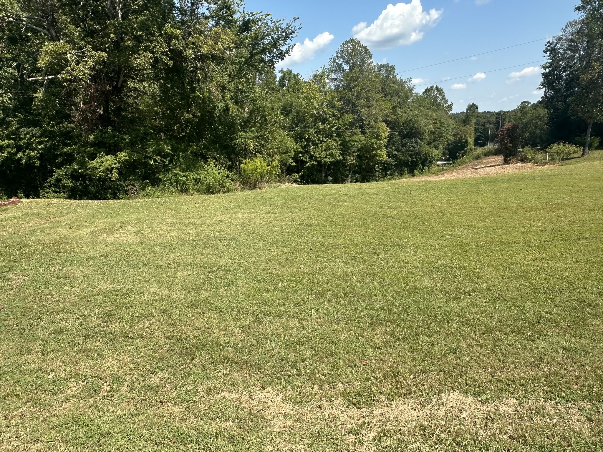 2 Hardin Loop Westpoint, TN 38486 - Photo 27 of 27 a view of a yard with a tree