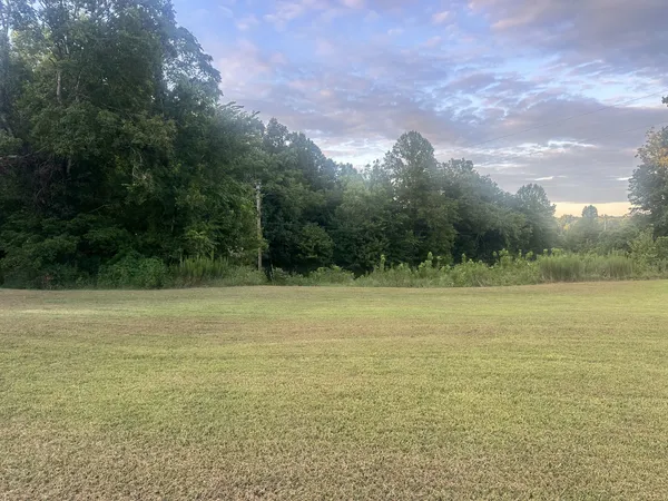 a view of a field with an trees