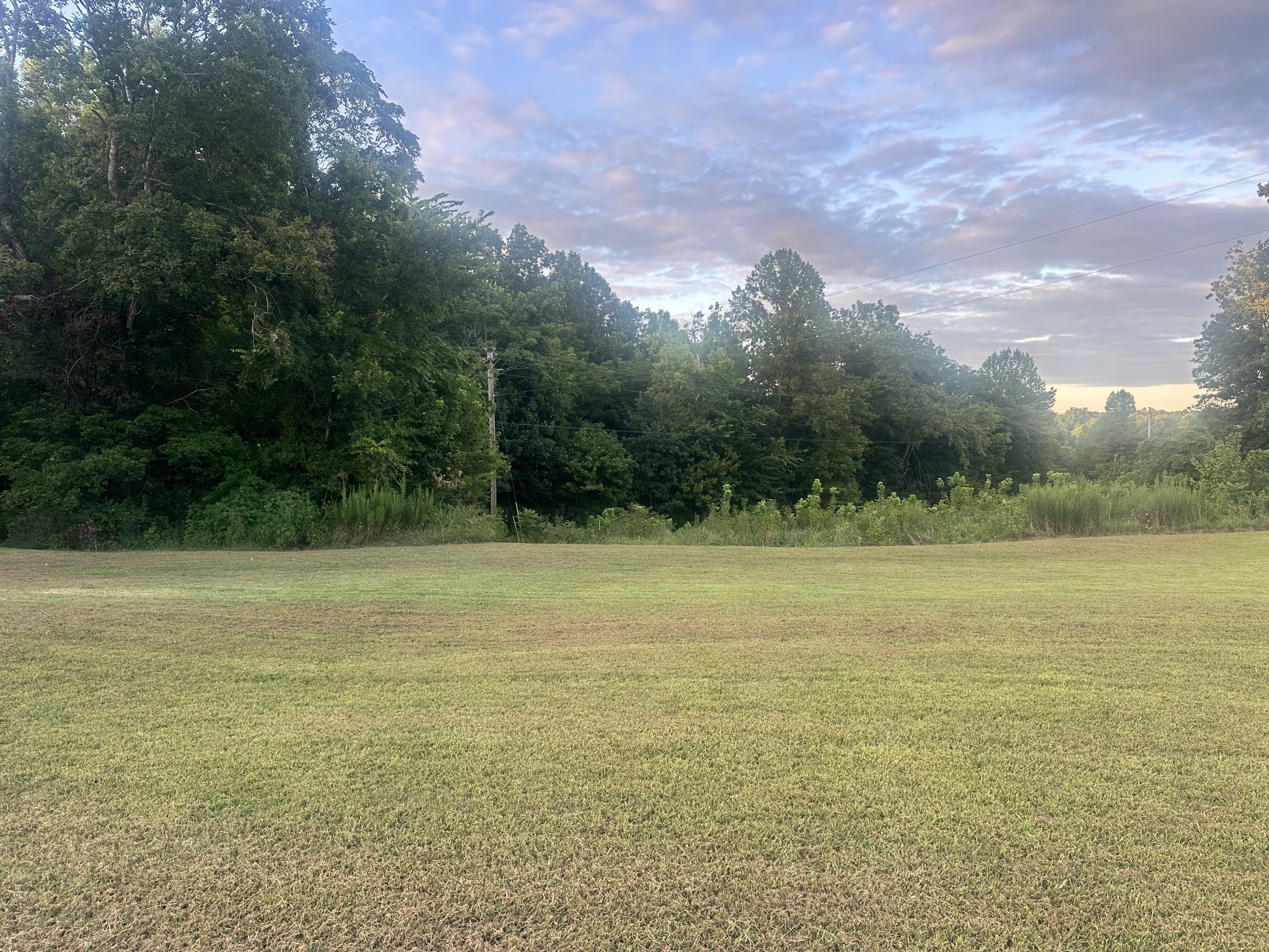 2 Hardin Loop Westpoint, TN 38486 - Photo 9 of 27 a view of a field with an trees