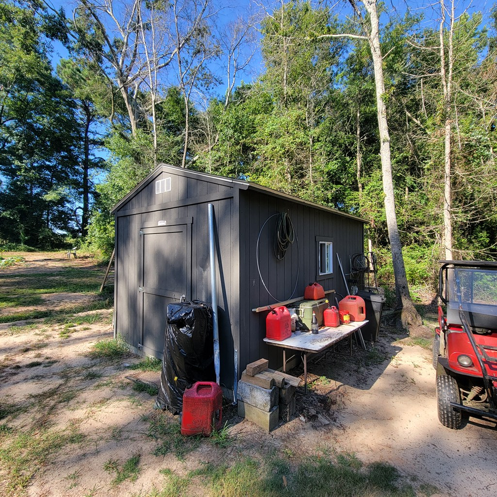 10355 County Road 97 Abbeville, AL 36310 - Photo 7 of 16