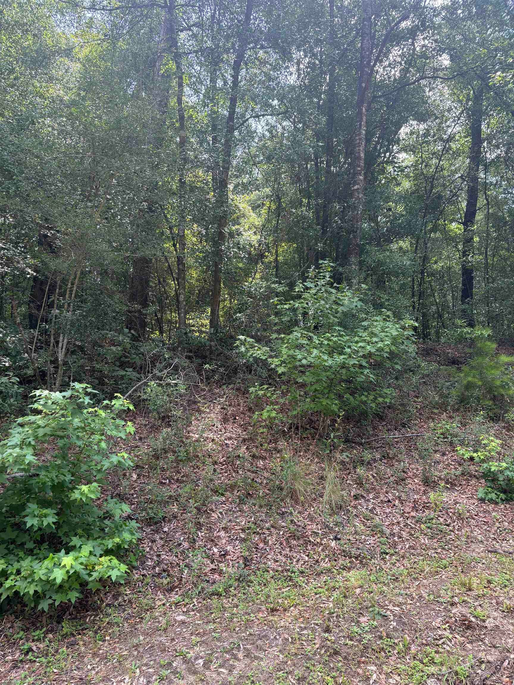 0 Greenbriar Loop Andalusia, AL 36421 - Photo 3 of 6 Gallery Image 3