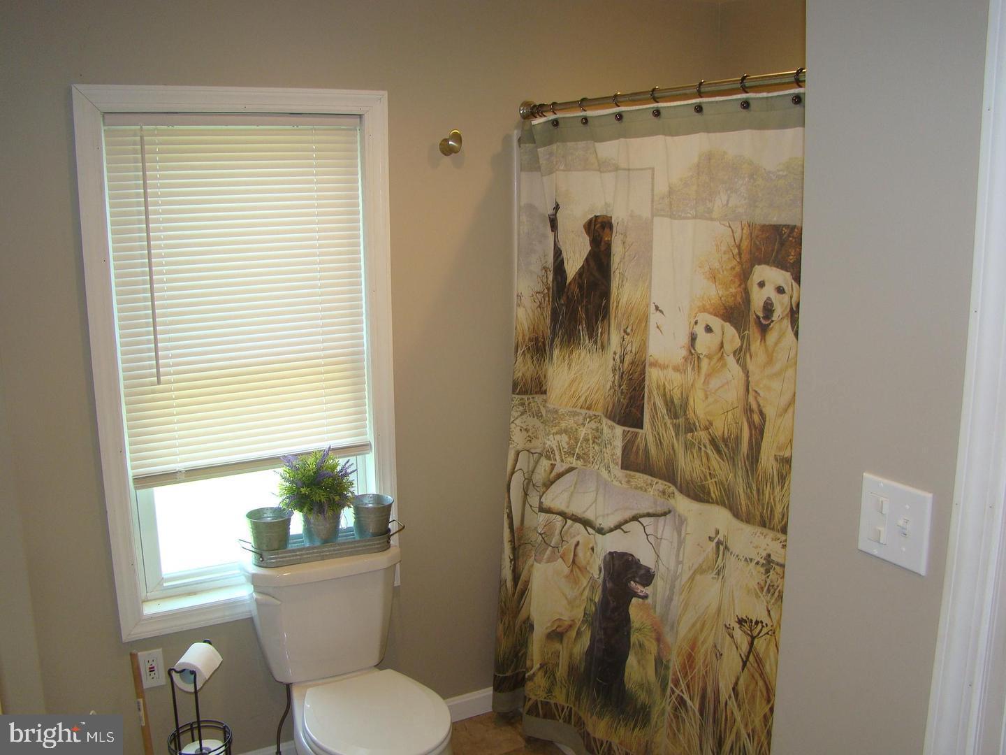 1319 Front Street Lititz, PA 17543 - Photo 8 of 32