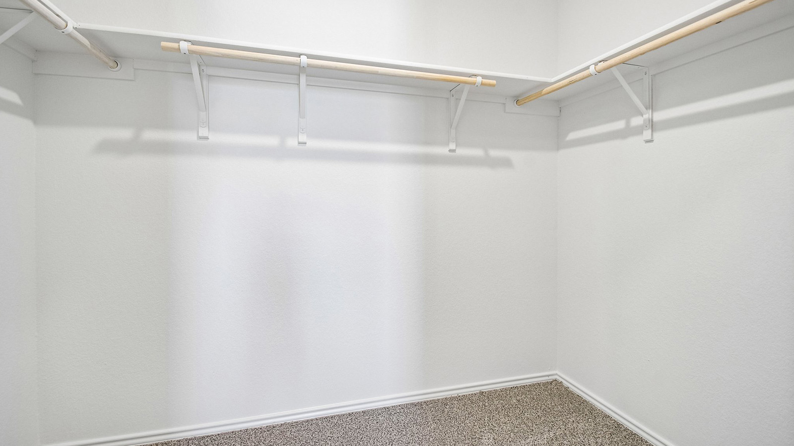 388 Old Stage Coach Road Jarrell, TX 76537 - Photo 21 of 30 An organized walk-in closet features built-in shelving, hanging rods, and soft carpeting.