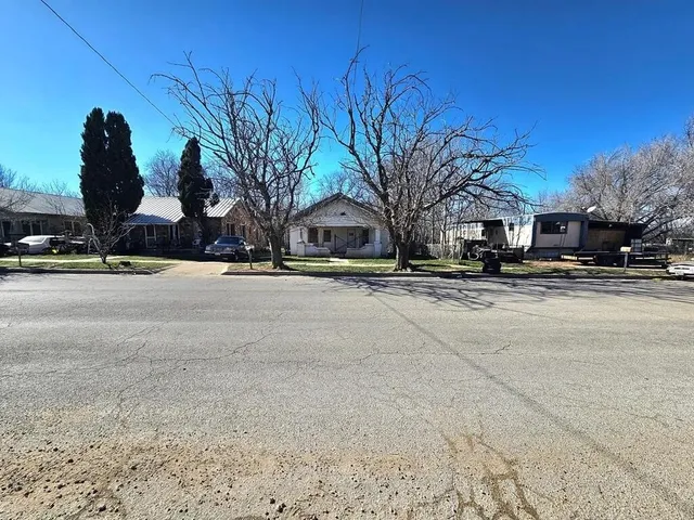 a street view with large trees