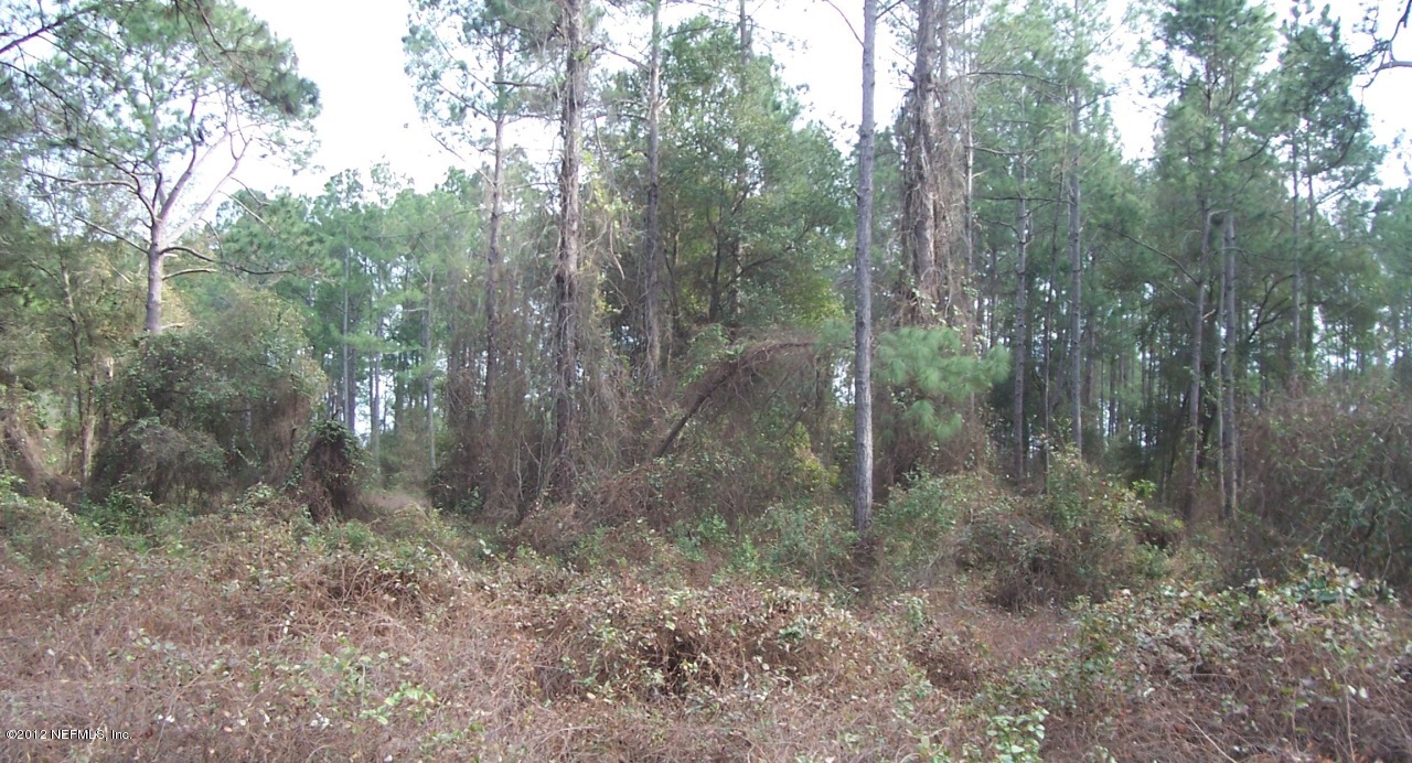 7631 Aztec Court Keystone Heights, FL 32656 - Photo 2 of 3 View 2 of Lot