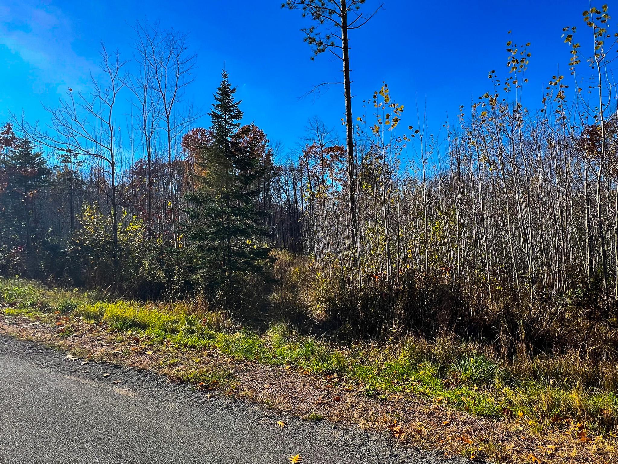 Lot 7-8 Breakneck Road Birchwood, WI 54817 - Photo 15 of 23