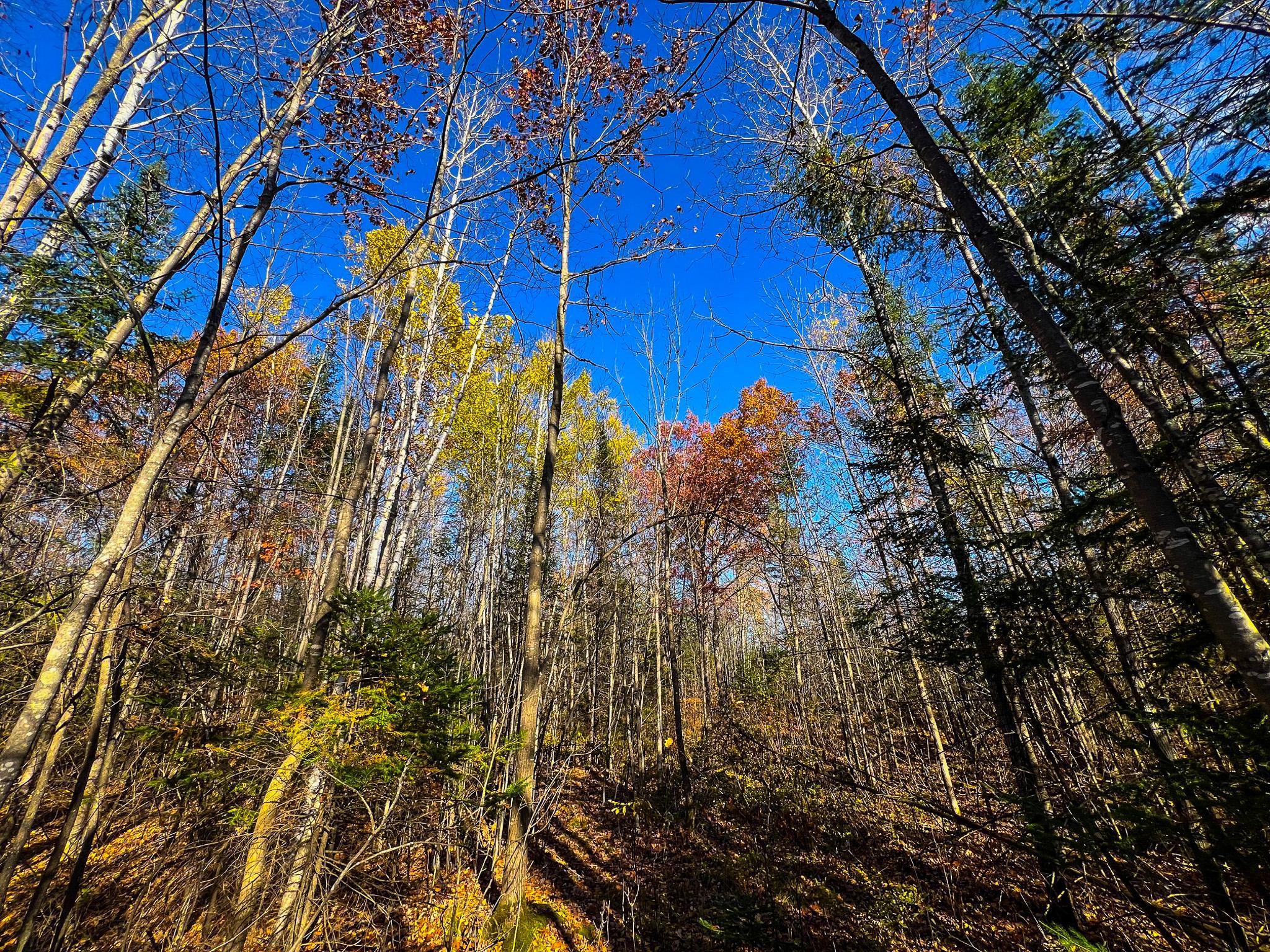 Lot 7-8 Breakneck Road Birchwood, WI 54817 - Photo 18 of 23