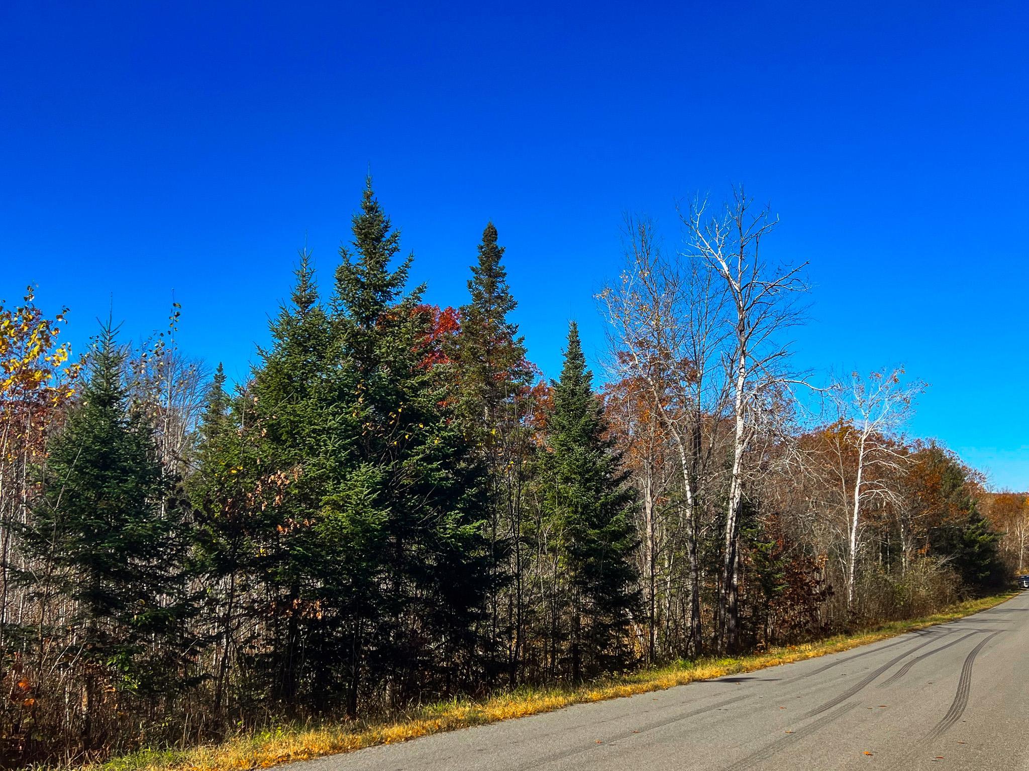 Lot 7-8 Breakneck Road Birchwood, WI 54817 - Photo 21 of 23