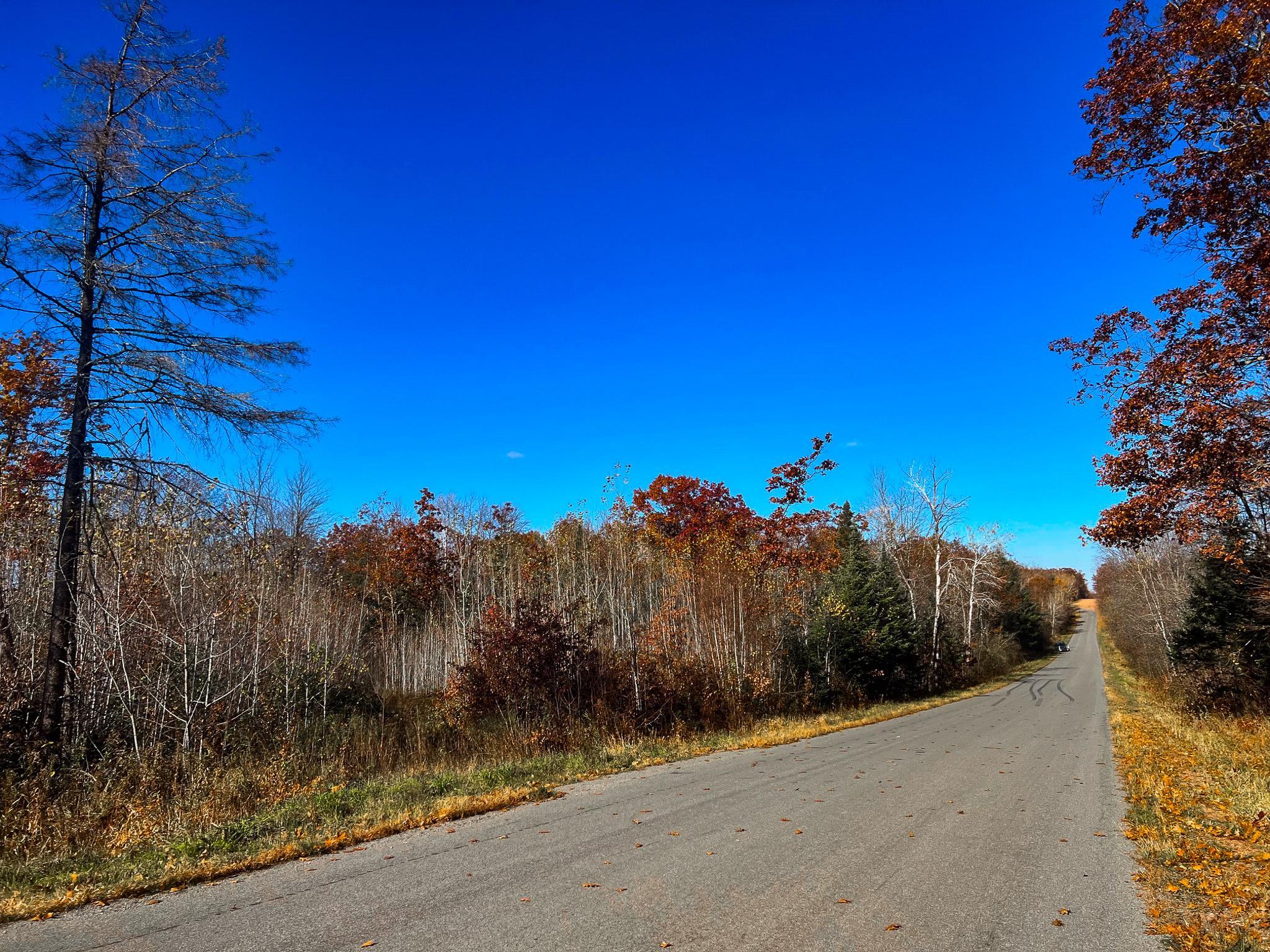 Lot 7-8 Breakneck Road Birchwood, WI 54817 - Photo 22 of 23