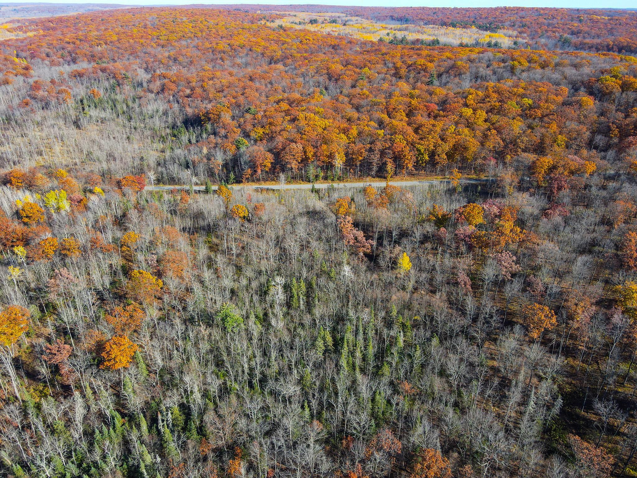 Lot 7-8 Breakneck Road Birchwood, WI 54817 - Photo 3 of 23