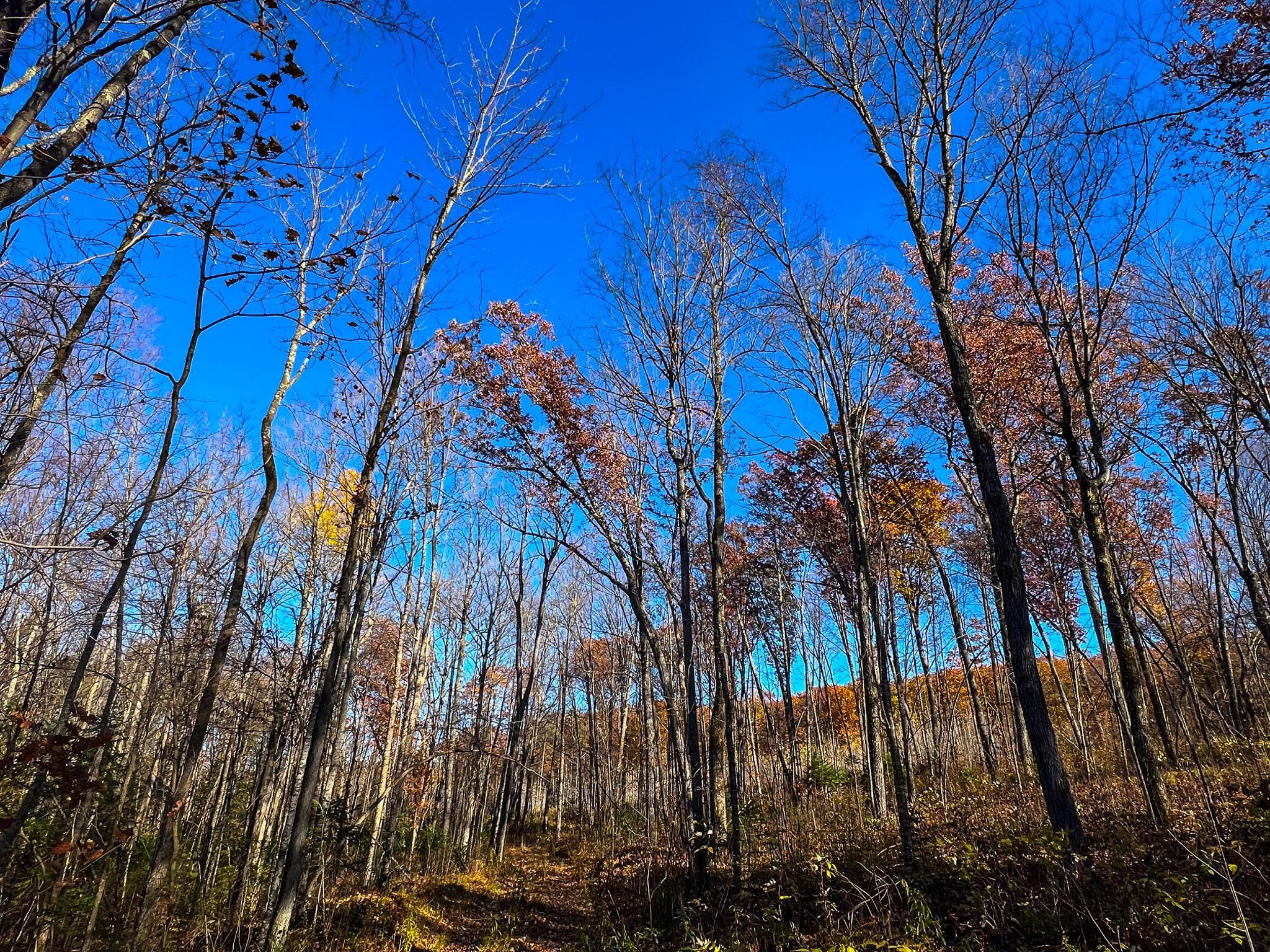 Lot 7-8 Breakneck Road Birchwood, WI 54817 - Photo 4 of 23