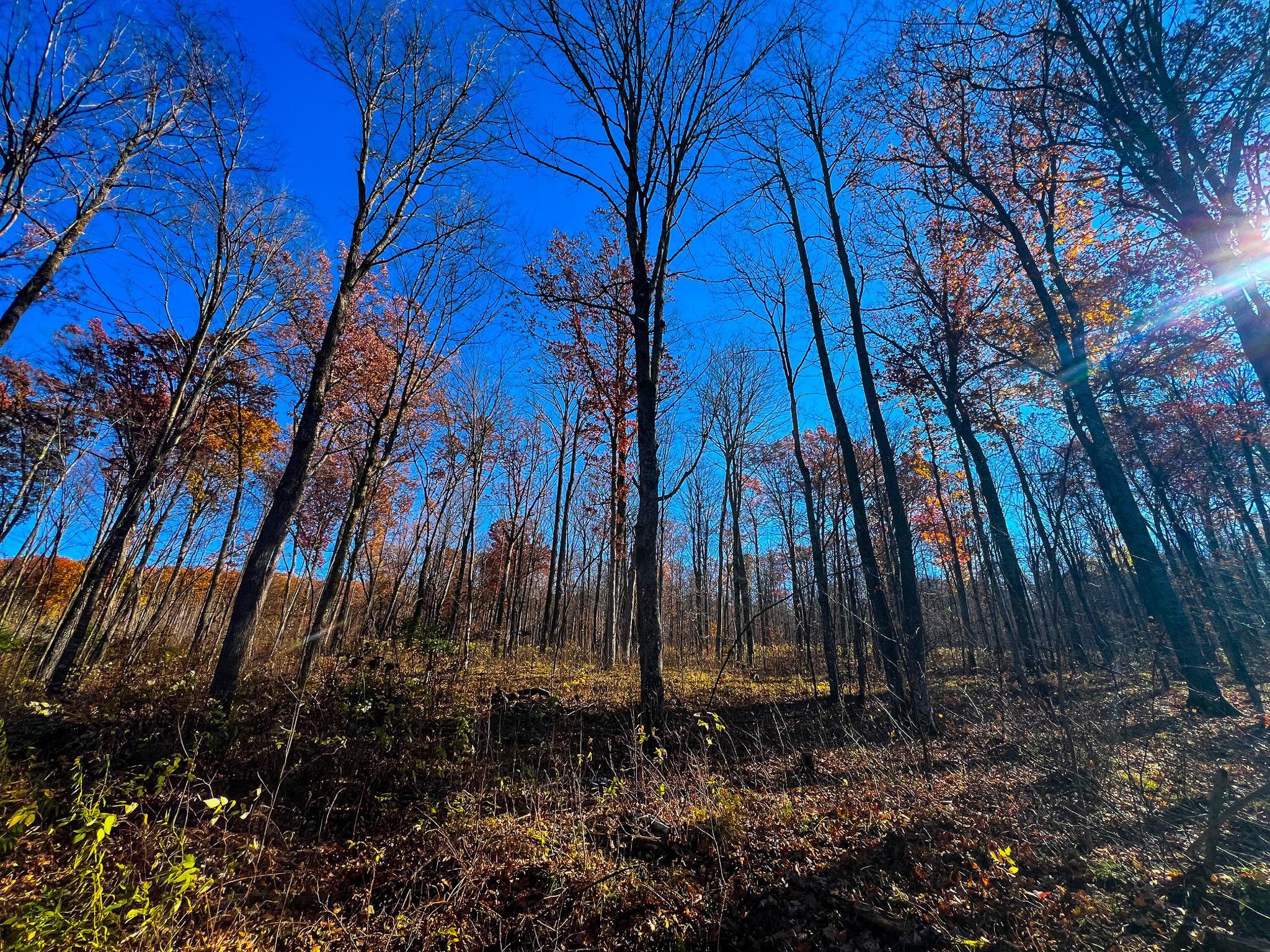 Lot 7-8 Breakneck Road Birchwood, WI 54817 - Photo 5 of 23