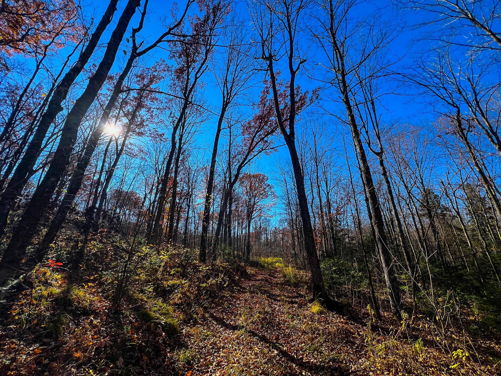 Lot 7-8 Breakneck Road Birchwood, WI 54817 - Photo 6 of 23