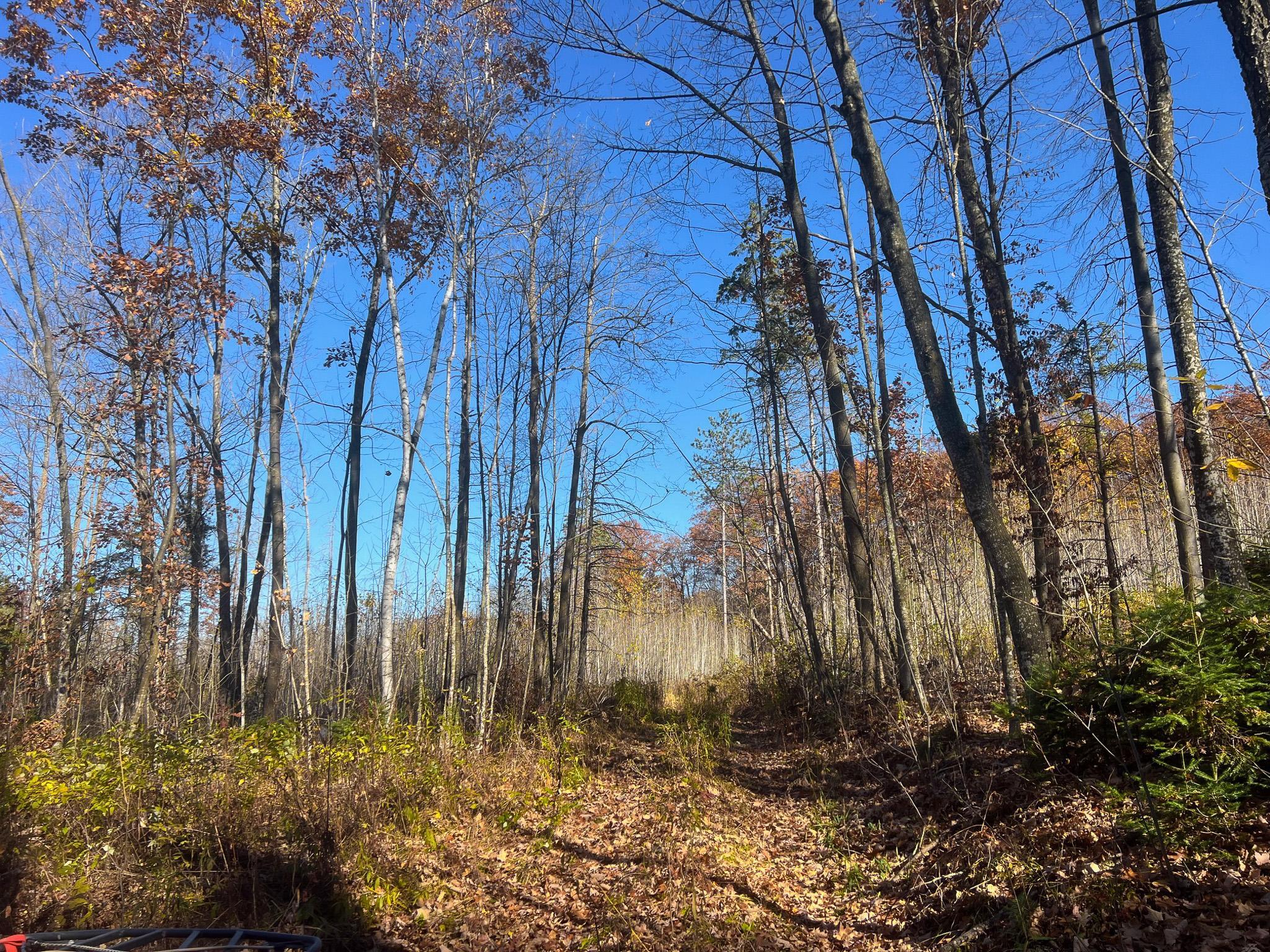 Lot 7-8 Breakneck Road Birchwood, WI 54817 - Photo 7 of 23