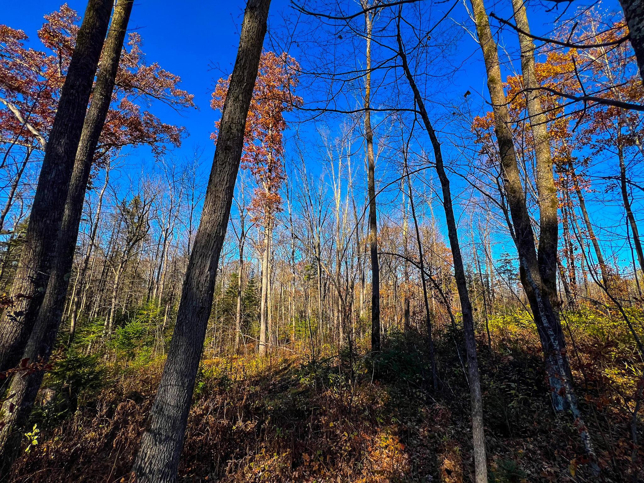 Lot 7-8 Breakneck Road Birchwood, WI 54817 - Photo 8 of 23