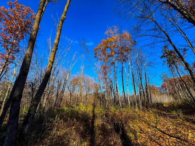 $119,900 | Lot 7-8 Breakneck Road, Birchwood, WI 54817