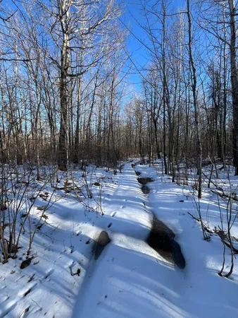 $45,000 | 4 County Road 4, Barnum, MN 55707