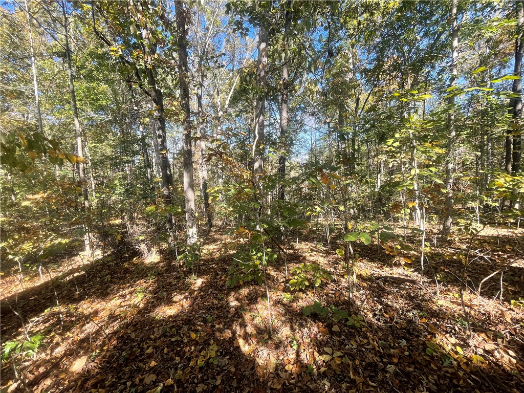 Tract E Vine Road Westminster, SC 29693 - Photo 8 of 11