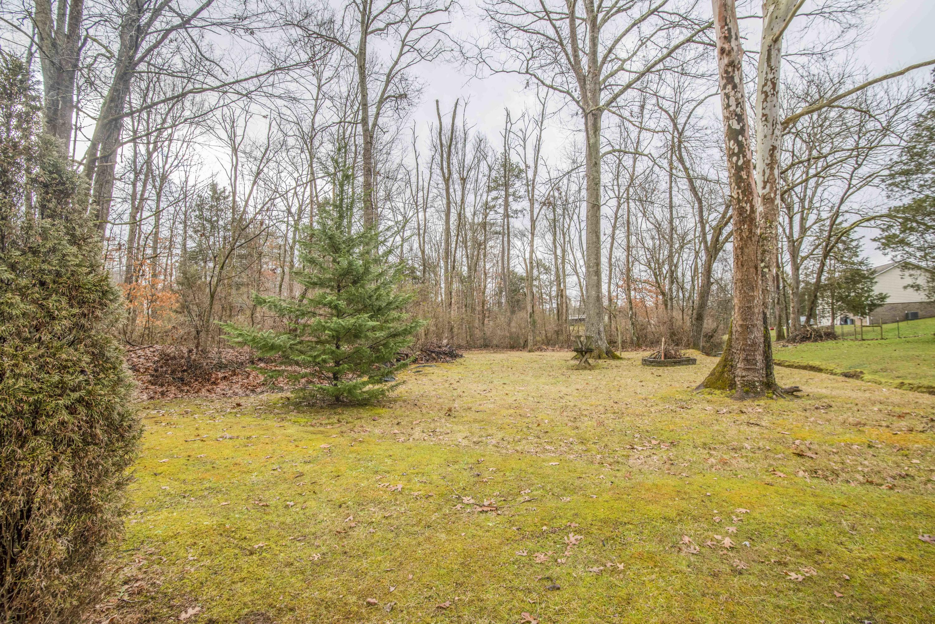 5120 East Emory Road Knoxville, TN 37918 - Photo 26 of 29 yard 6_1