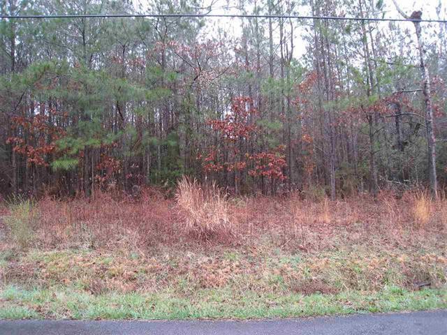 0 Lot 27 Lakehaven Decatur, TN 37322 - Photo 1 of 1 a view of a yard