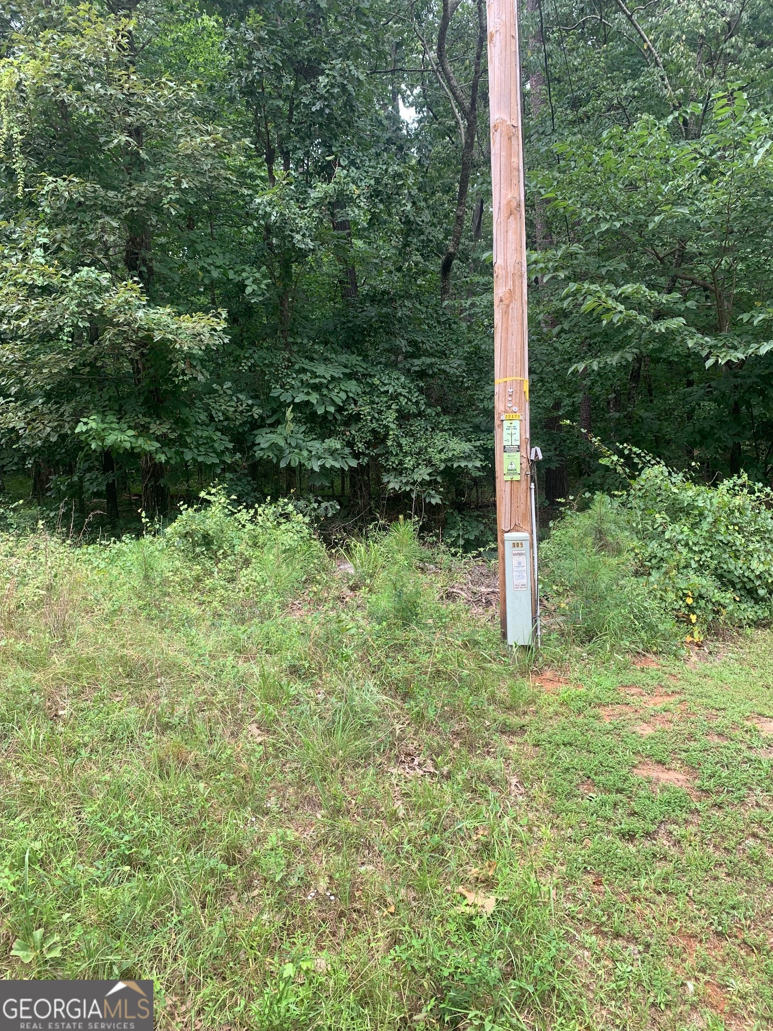 5.008-ac Digby Road, Unit TRACT II Covington, GA 30014 - Photo 6 of 6 Right front corner of property