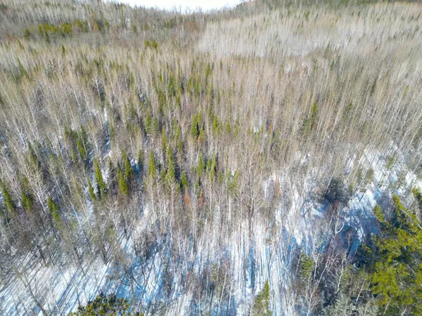 $45,000 | 72-xxx East Central Lakes Road, Eveleth, MN 55734