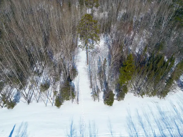 $45,000 | 72-xxx East Central Lakes Road, Eveleth, MN 55734