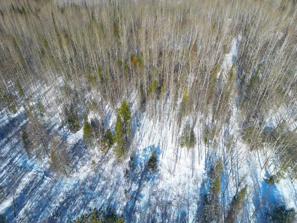 $45,000 | 72-xxx East Central Lakes Road, Eveleth, MN 55734