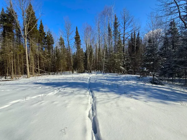 $45,000 | 72-xxx East Central Lakes Road, Eveleth, MN 55734