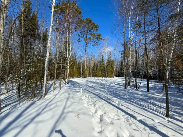 $45,000 | 72-xxx East Central Lakes Road, Eveleth, MN 55734