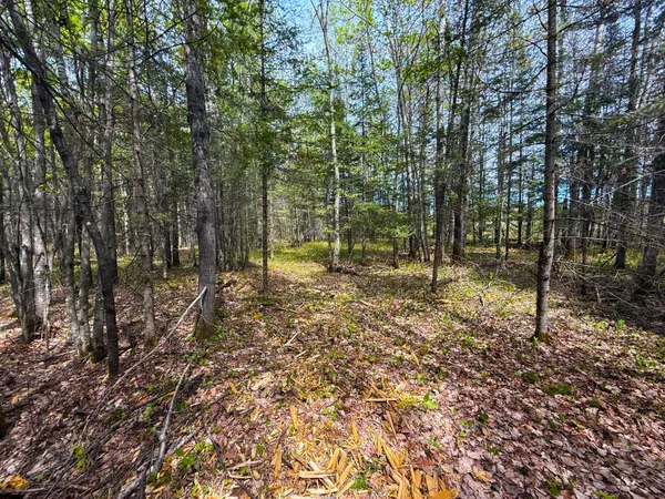 $45,000 | 72-xxx East Central Lakes Road, Eveleth, MN 55734