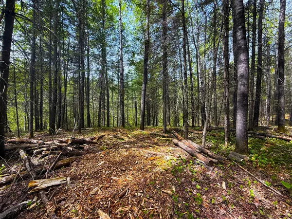 $45,000 | 72-xxx East Central Lakes Road, Eveleth, MN 55734