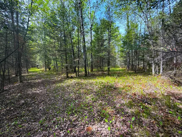 $45,000 | 72-xxx East Central Lakes Road, Eveleth, MN 55734
