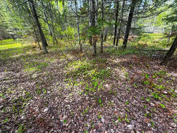 $45,000 | 72-xxx East Central Lakes Road, Eveleth, MN 55734