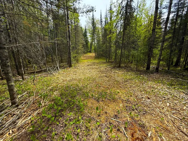 $45,000 | 72-xxx East Central Lakes Road, Eveleth, MN 55734