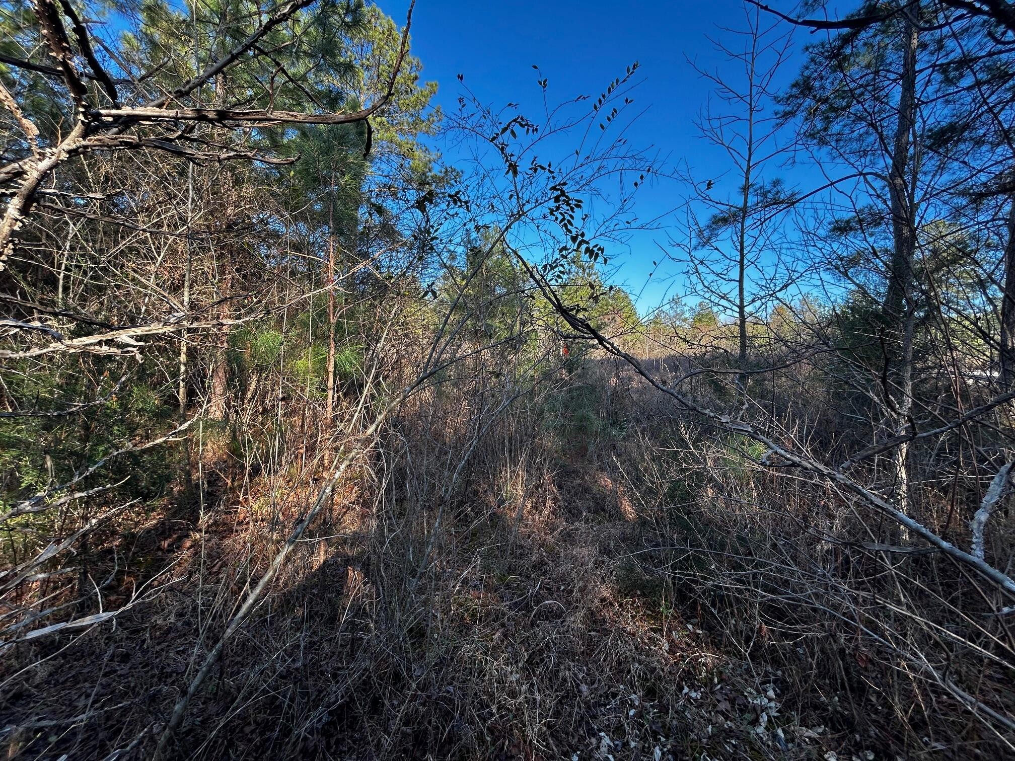27 Charles Road Decatur, TN 37322 - Photo 15 of 17