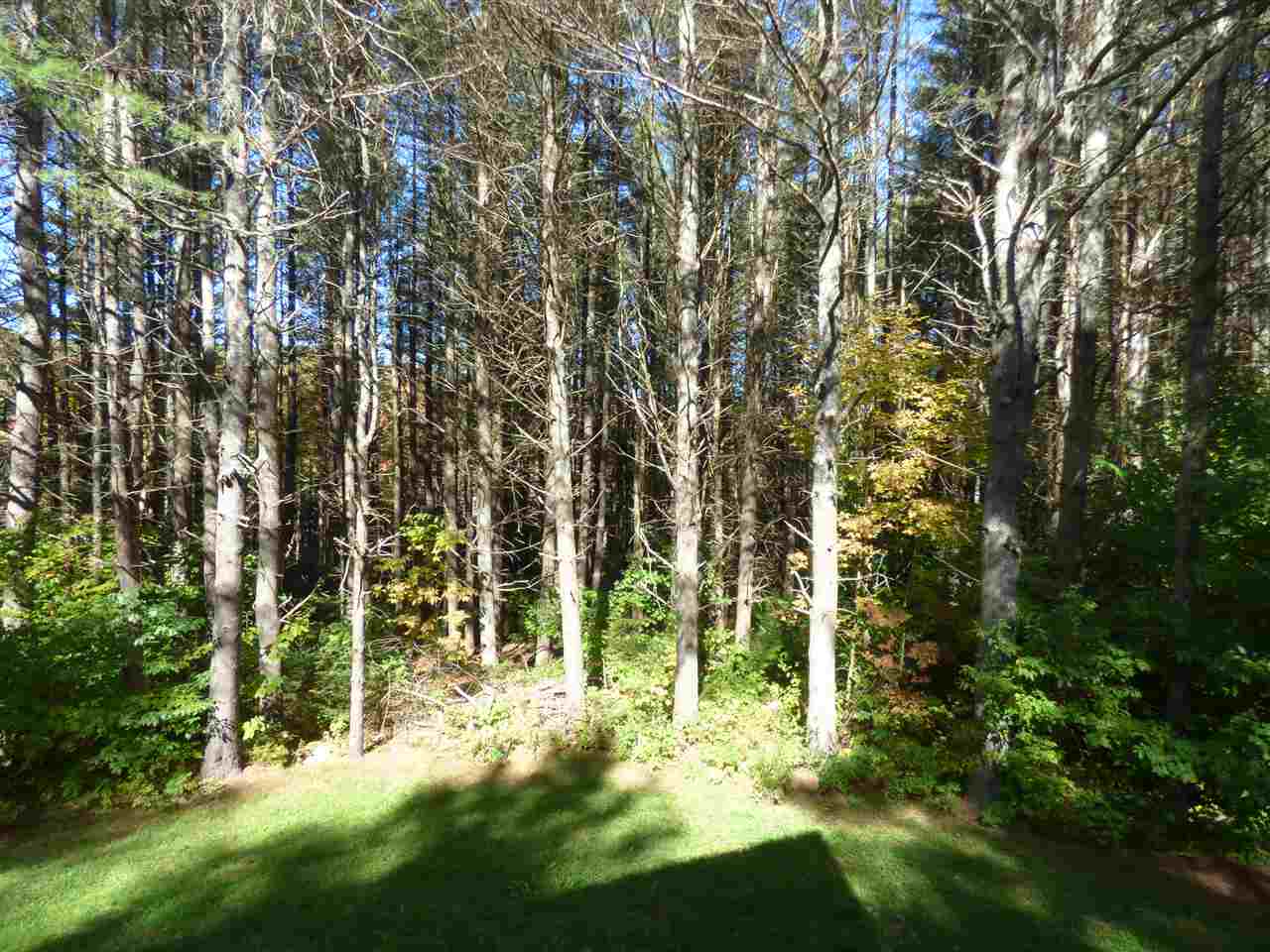 376 West Windham Road Windham, VT 05359 - Photo 22 of 27