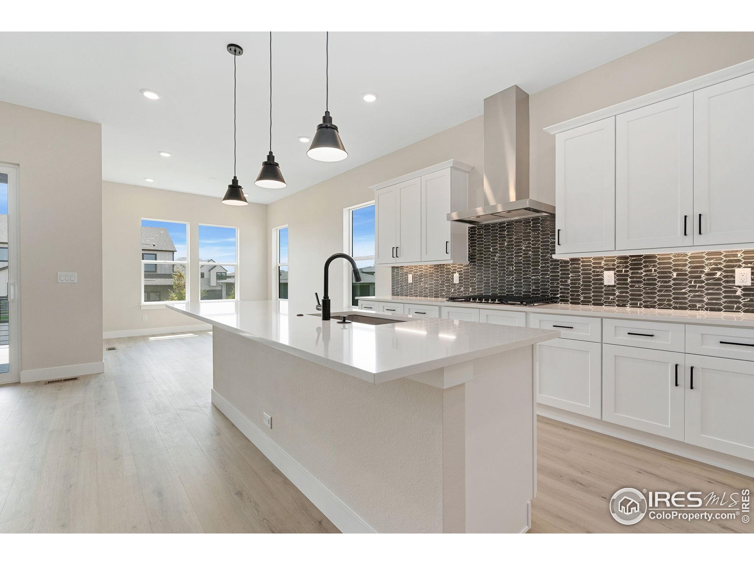 5835 Gianna Drive Timnath, CO 80547 - Photo 10 of 20