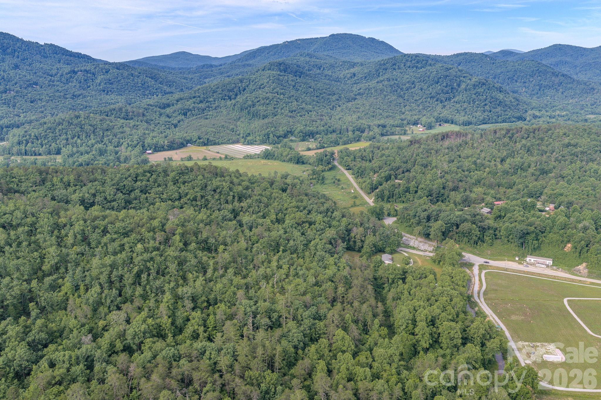 4733 Bat Cave Road Old Fort, NC 28762 - Photo 30 of 36