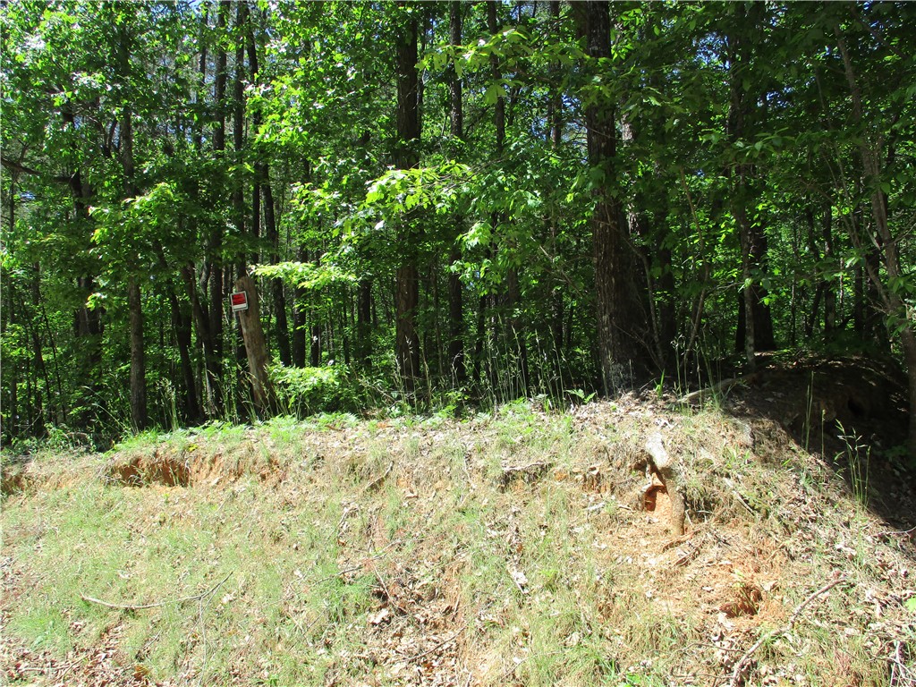 0 Unity Church Road Westminster, SC 29693 - Photo 3 of 6 Gallery Image 3