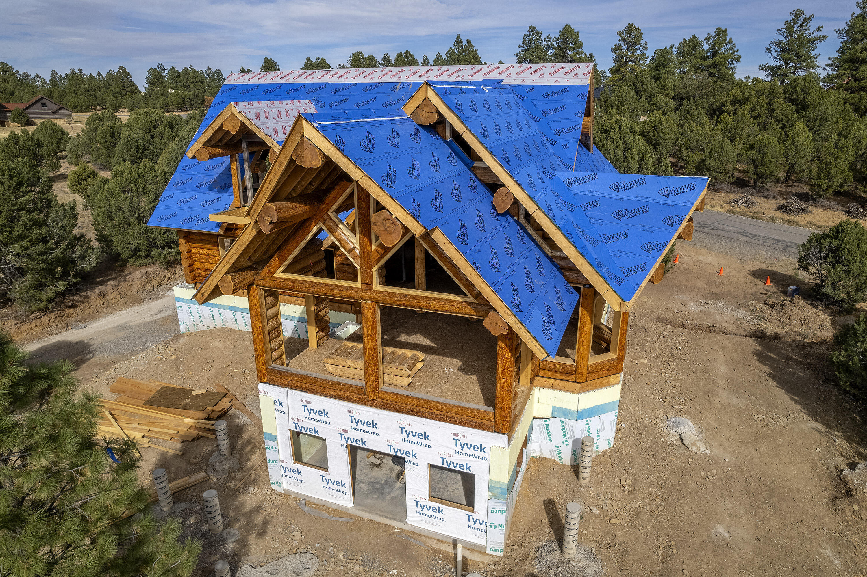 74 White Tail Lane Ridgway, CO 81432 - Photo 11 of 53 74 White Tail Lane w_ Roof_102724_023